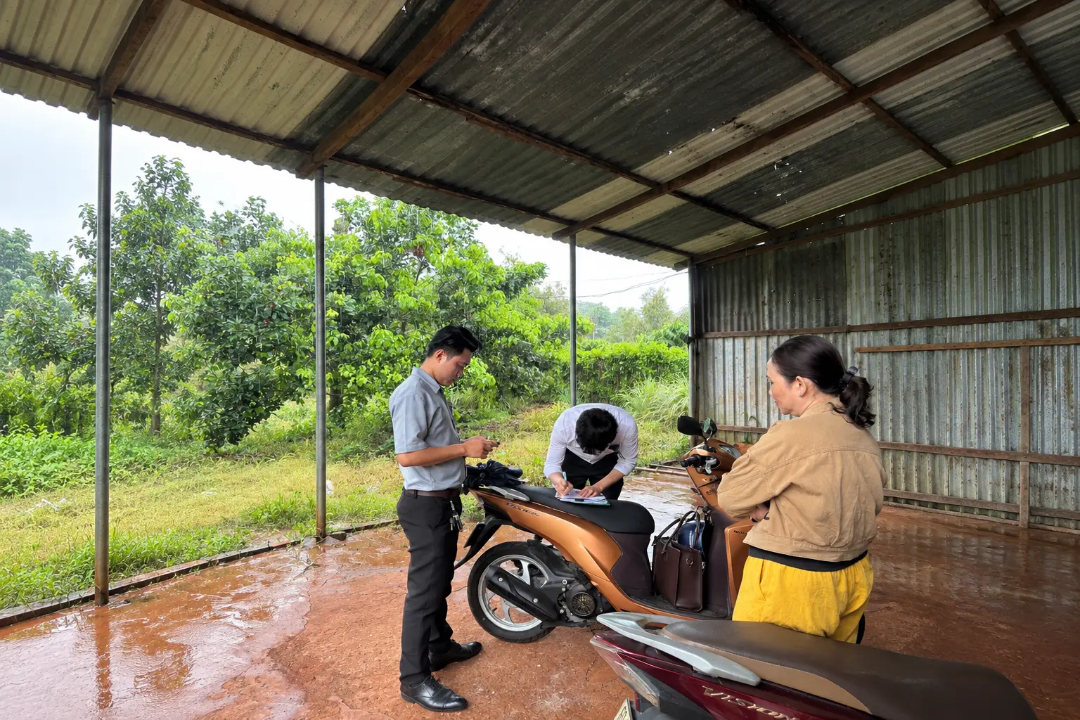 luật sư khảo sát tài sản tranh chấp